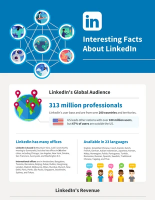 premium  Template: LinkedIn Infographic Template