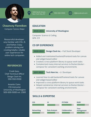 Free  Template: College Student Resume Template