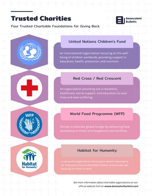 premium  Template: Trusted Charitable Foundations Infographic Template