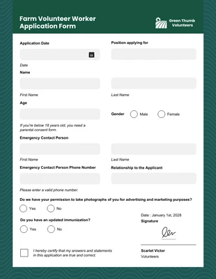 business  Template: Pattern Volunteer and Community Service Form Template