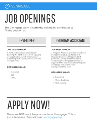 premium  Template: Job Posting Infographic Template