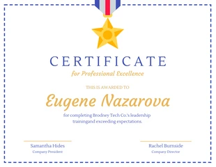 Free  Template: Blue Certificate for Professional Excellence Template