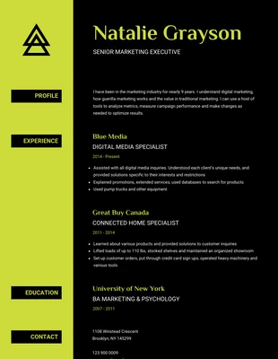 premium  Template: Black Neon Resume Template [A4]