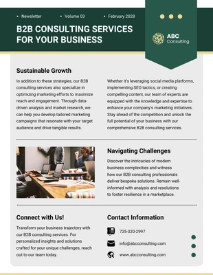 business  Template: B2B Consulting Services Newsletter Template