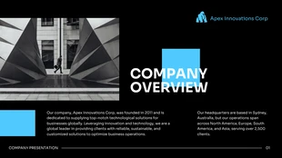 Black And Blue Ssimple Company Presentation - Page 2