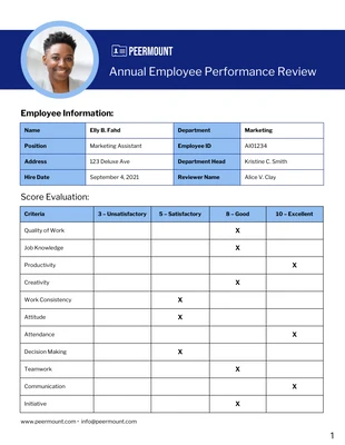 premium  Template: Annual Employee Work Performance Review Template