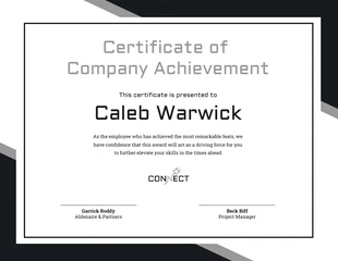 business  Template: Professional Certificate of Company Achievement Template