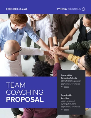 Free  Template: Team Coaching Proposal Template