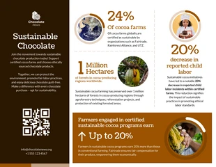 Free  Template: Sustainable Chocolate Infographic Template