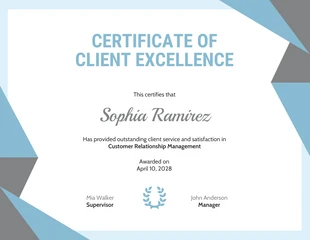 business  Template: Blue Gray Certificate of Client Excellence Template