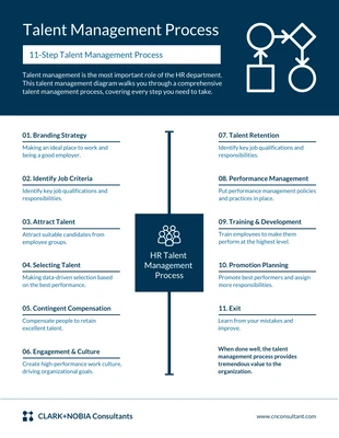 business  Template: Talent Management Process Infographic Template