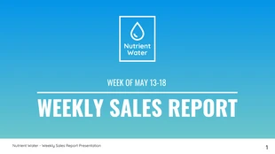 business  Template: Weekly Sales Report Template