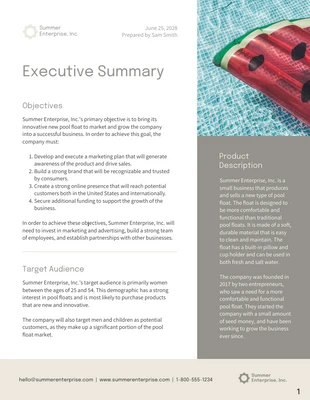 premium  Template: Executive Briefing Document Template