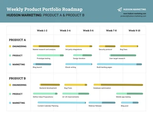 Free  Template: Professional Product Portfolio Roadmap Template