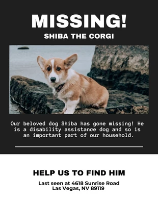 Free  Template: Mine Shaft Missing Dog Flyer Template