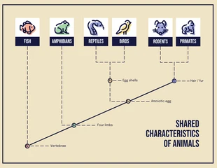 Free  Template: Iconic Customizable Cladogram Diagram Template