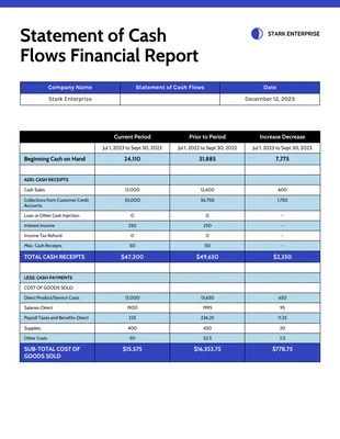 business  Template: Cash Flows Statement Financial Report Template