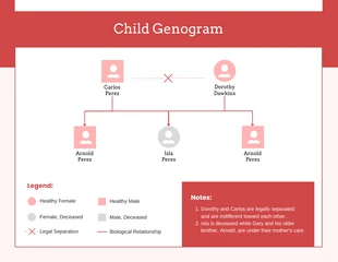 business  Template: Child Genogram Template