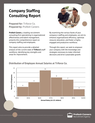 premium  Template: Staffing Consulting Histogram Chart Template