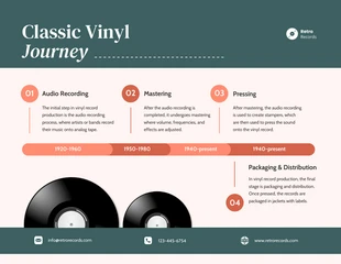 business  Template: Classic Vinyl Journey Infographic Template