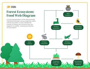 premium  Template: Food Web In A Forest Ecosystem Connectance Diagram Template