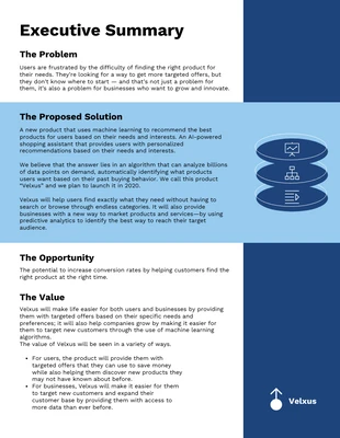 business  Template: Business Case Executive Summary Example Template