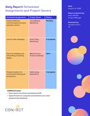 Free  Template: Editable Daily Report Template