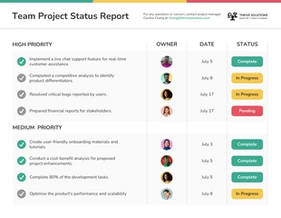 premium  Template: Team Project Status Report Template