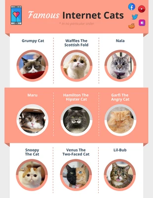 Free  Template: Famous Internet Cats List Infographic Template