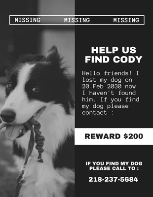 Free  Template: Cinder Lost Dog Flyer Template