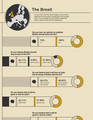 premium  Template: The Brexit Infographic Presentation Template