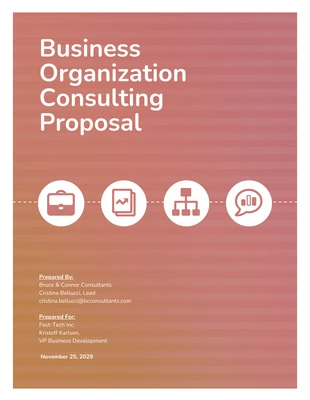 business  Template: Project Business Consulting Proposal Template