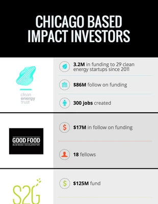 Free  Template: Investor Report Template