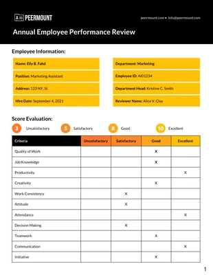 premium  Template: Annual Staff Performance Review Template