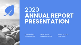 Non Profit Annual Report Presentation Template