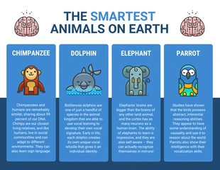 Free  Template: Simple Intelligent Animal Teaching Aids