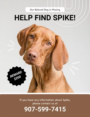 Free  Template: Brown Missing Dog Poster