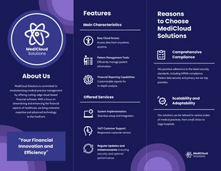 Cloud-Based Financial Software Z-Fold Brochure - Page 2