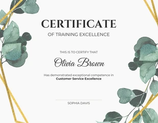 Free  Template: Modern Certificate of Training Excellence Template