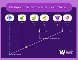 Free  Template: Purple Playful Cladogram of Animals Diagram Template