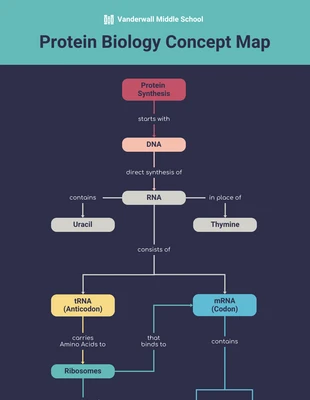 premium  Template: Simple Protein Biology Concept Map Template