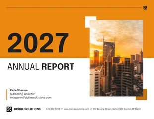 premium  Template: LLC Annual Report Template