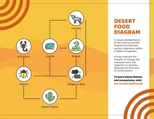 premium  Template: Food Web In A Desert Ecosystem Example Diagram Template