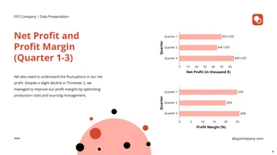 Red And White Simple Data Presentation - Page 4