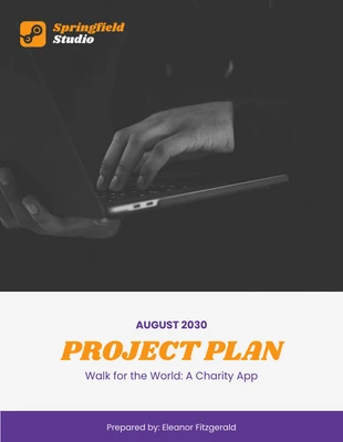 Free  Template: Studio Project Plan Template