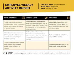 premium  Template: Employee Weekly Activity Report Example Template