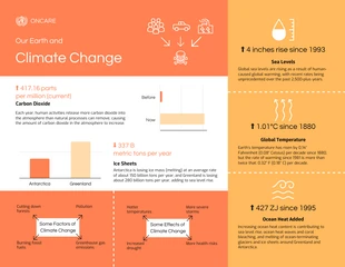 premium  Template: Informative Infographics Infographic Template