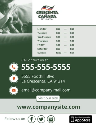 business  Template: Flyer Contact Information Template