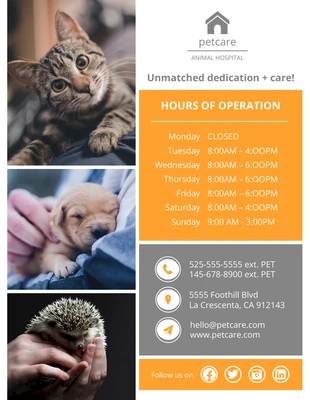 Free  Template: Animal Hospital Flyer Template