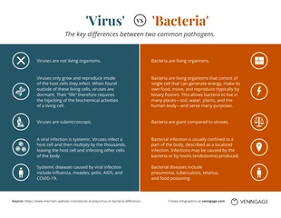 business  Template: Virus vs Bacteria Comparison Infographic Template